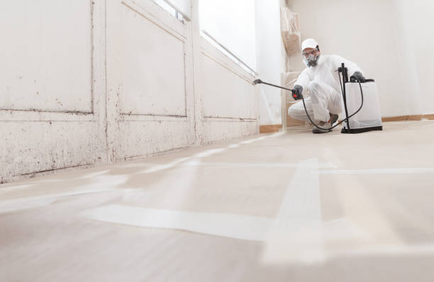 24/7 Emergency Mold Remediation experts in Concord, MI